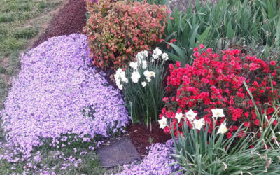 Palm Sunday, or An Evening Walk in Tennessee