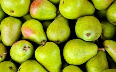 Pears